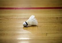Badminton competition underway with Team BC moving onto the Quarter Finals 