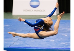Female gymnastics earns bronze in team event